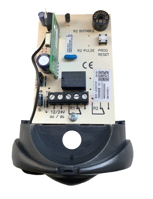 Receptor RTM-31