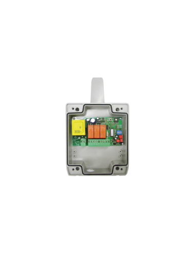DETECTOR MAGNETICO FOR-DMS
